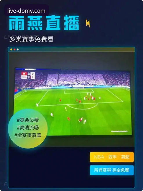多米体育平台高清赛事直播安装与优化完整指南